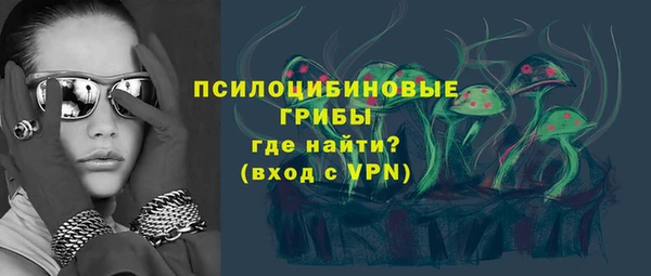соль ск Балахна