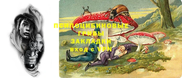 соль ск Балахна