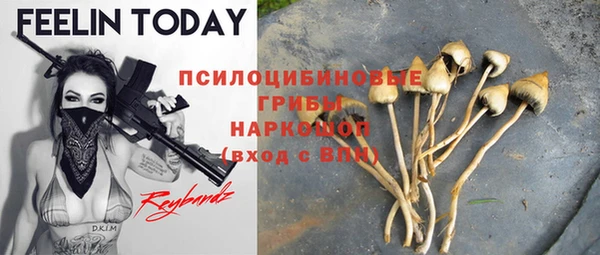 винт Баксан