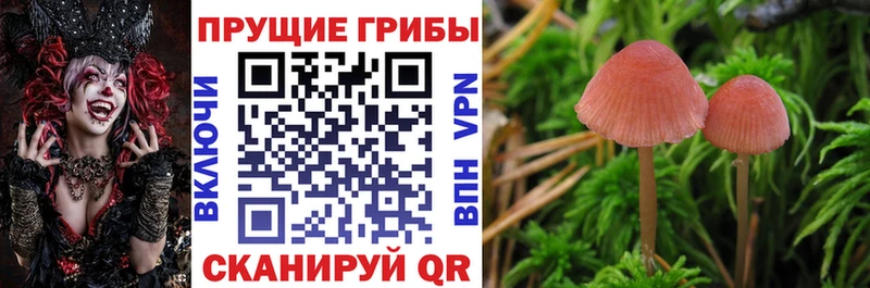 Псилоцибиновые грибы мухоморы  blacksprut маркетплейс  Воронеж 